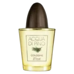 ادکلن مردانه آکوا دی پینو کلون پینو سیلوستره