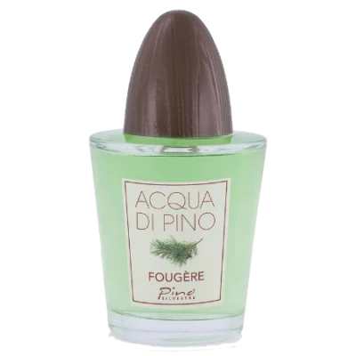 ادکلن مردانه آکوا دی پینو فوژه پینو سیلوستره