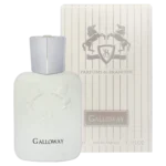 ادکلن مینیاتوری یونیسکس گالووی برندینی - Image 2