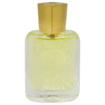 ادکلن مینیاتوری مردانه شاگیا برندینی