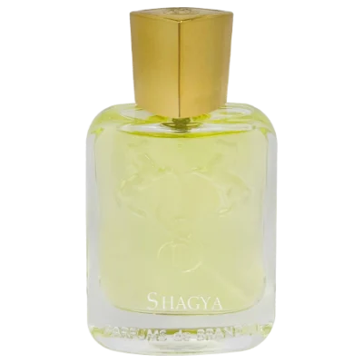 ادکلن مینیاتوری مردانه شاگیا برندینی